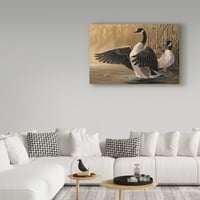 סימן מסחרי אמנות 'אווז קנדה' אמנות קנבס מאת וילהלם גבל