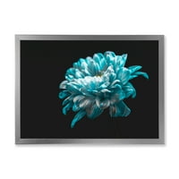 עיצוב 'צילום מקרוב של פרח דייזי כחול לבן וטהור השני' הדפס אמנות ממוסגר מסורתי