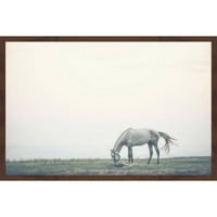 מרמונט היל סוס בודד מרעה ממוסגר ציור הדפסה