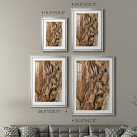 מרקם עץ הבית של Wexford Trexture Triptych i Premium Pramept